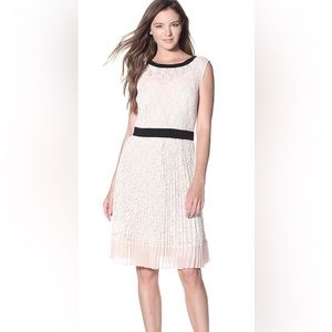 Ted Baker Pink and Black Lace Dress